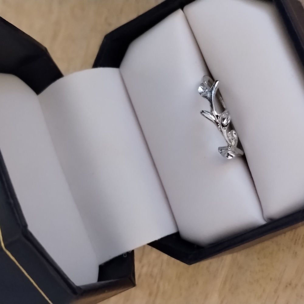 2 Designer Rings (6 & 7) NEW - Picture 2 of 5